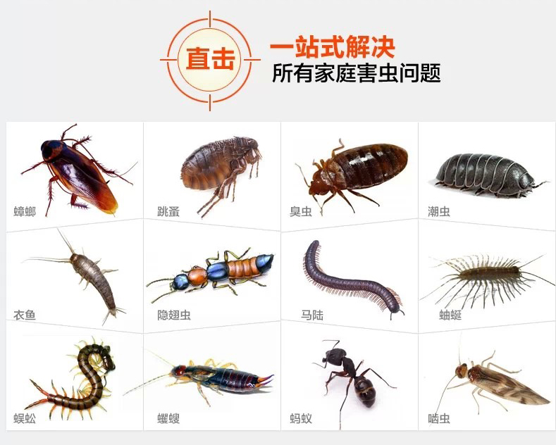 跳蚤的來（lái）源和防治方法  ​