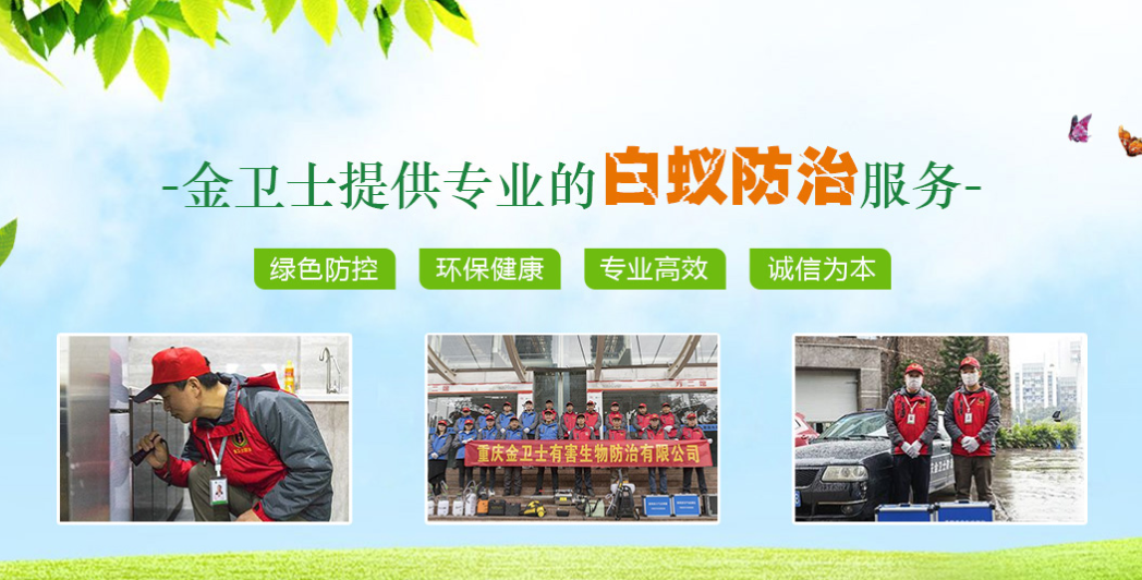 重慶滅鼠公司教您安（ān）全使用滅鼠藥（yào）