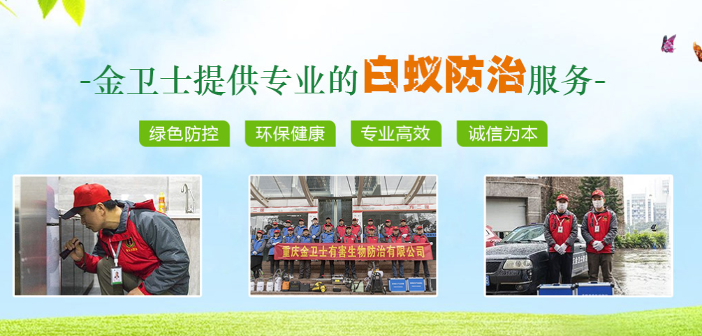 預防老鼠小知（zhī）識