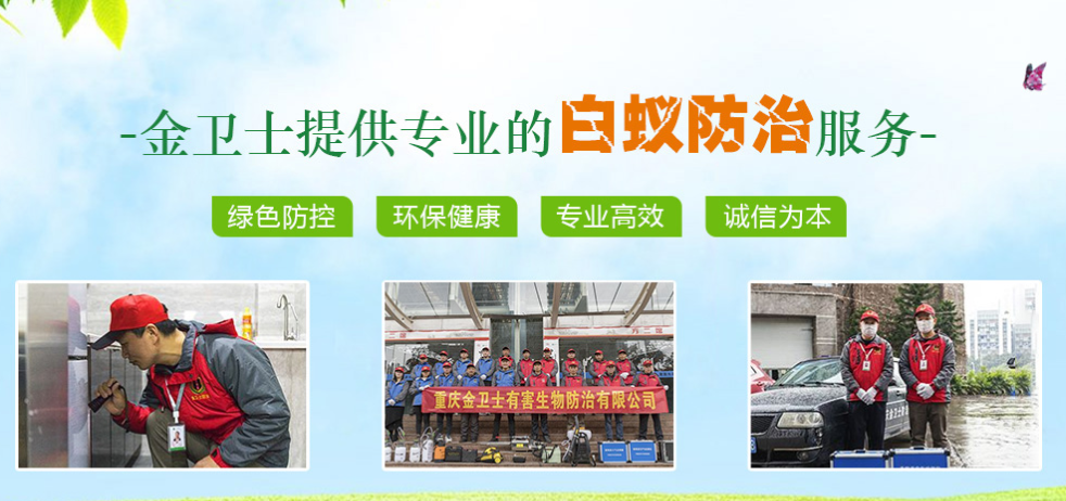 白蟻危害（hài）的特征