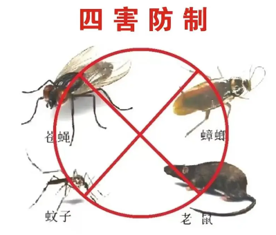 蟑螂怎麽消滅？除蟑螂隻需做到這3點